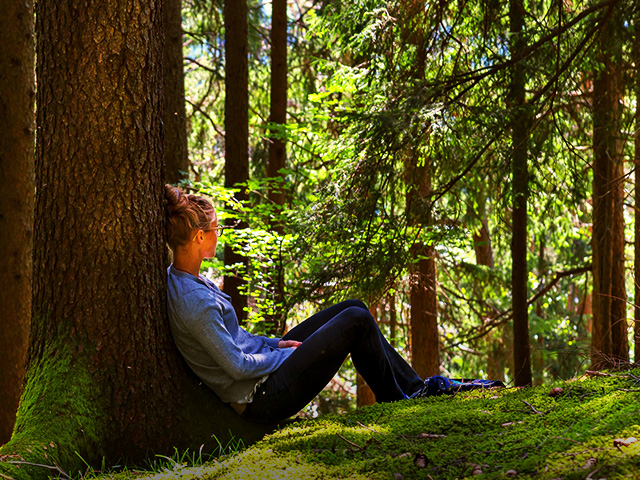 terapi lingkungan pada pasien jiwa